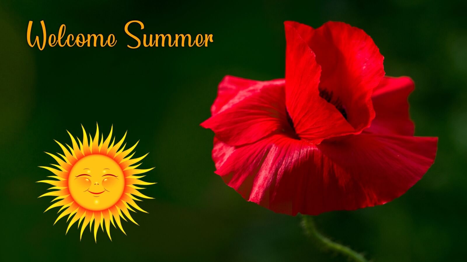 Summer Solstice