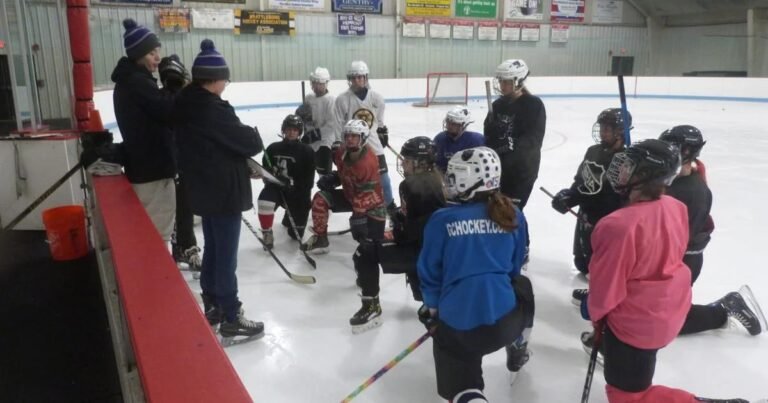 Bears start campaign looking to build on last season’s strong finish